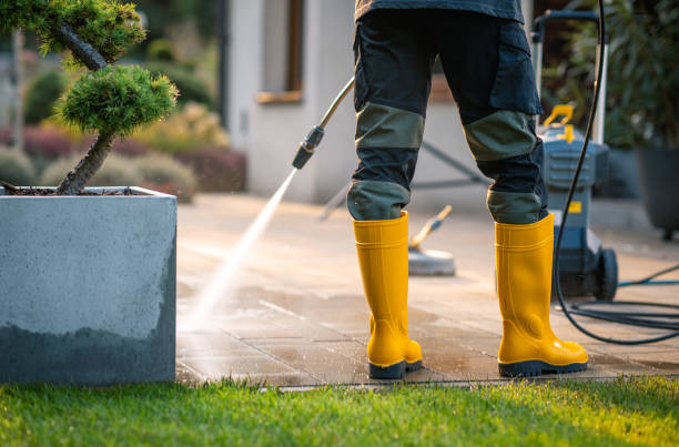 Best Pressure Washing Driveway  in Leonia, NJ
